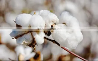 100% Polyester Fiber Filling Pillow For Hotel And Hospital