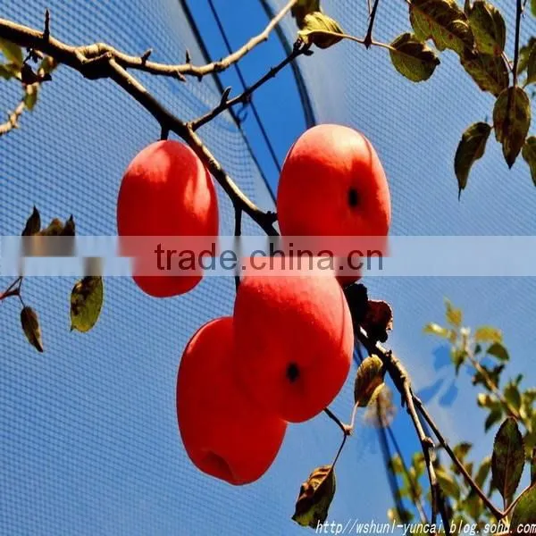 factory price anti bird netting new hdpe for grapes bird net