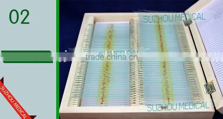 100pieces set mixed prepared slides