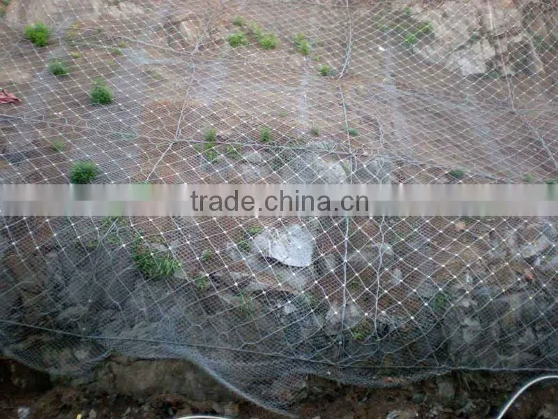 Anping High Quality SNS Protective Fence (Factory)