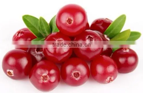 Cranberry extract powder Cranberry extract from Professional supplier