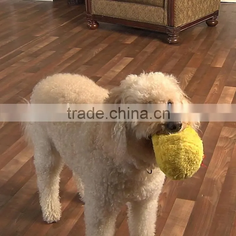 Vibrative and funny plusy pet toy