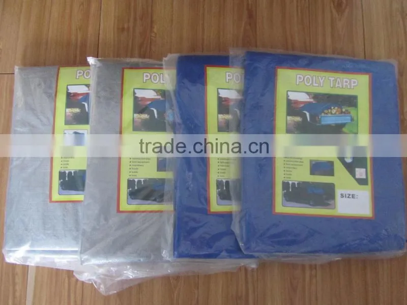 Waterproof PE Tarpaulin And Tear-Resistance Used For Canopies Cover