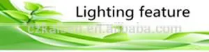 induction light source