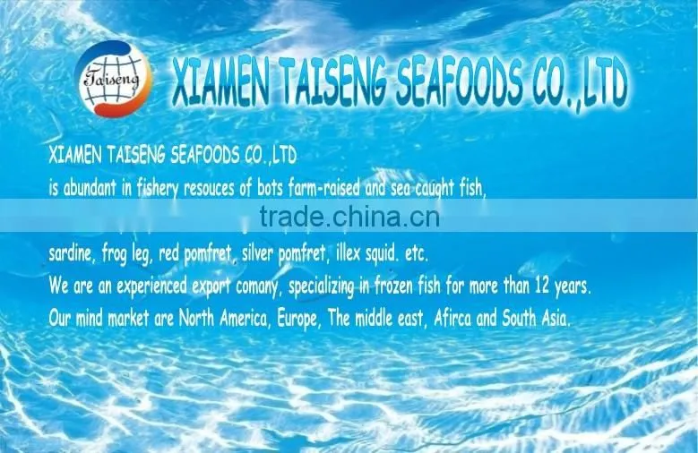 IQF Frozen Tilapia Fillet For Sale