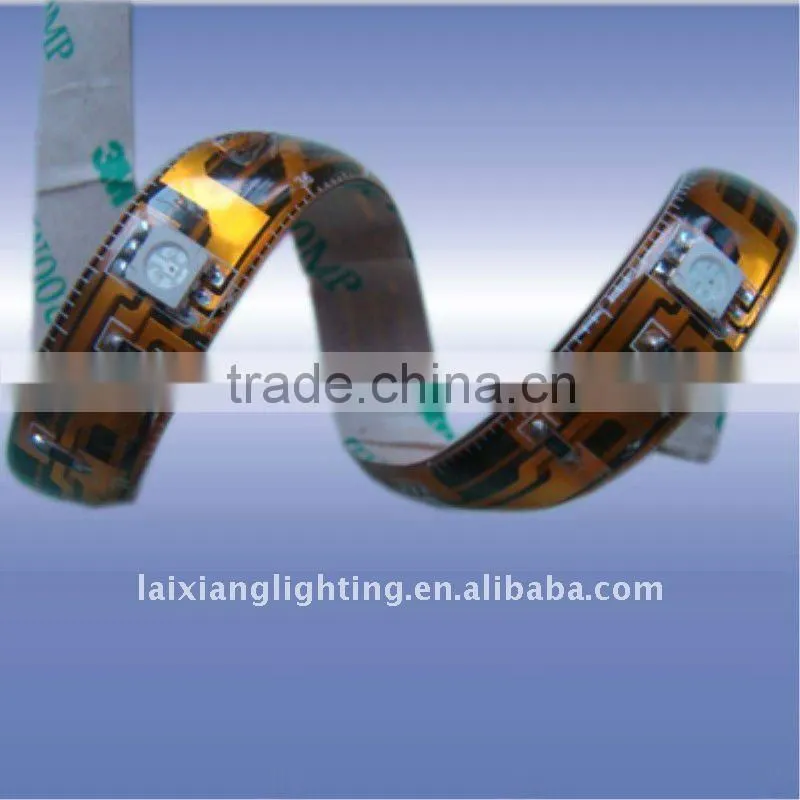 Zhongshan IP67 5050 SMD 12v led lights strip
