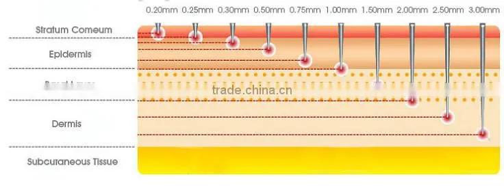 Good quality biogenesis dns derma roller zgts derma roller