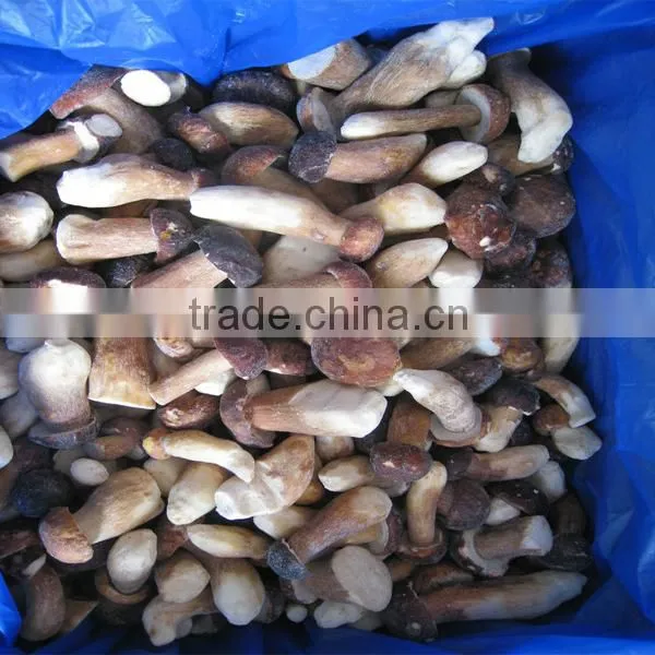 Frozen Porcini mushrooms ( IQF boletus edulis)