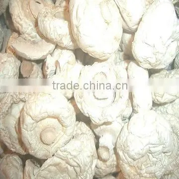 Dried mushroom