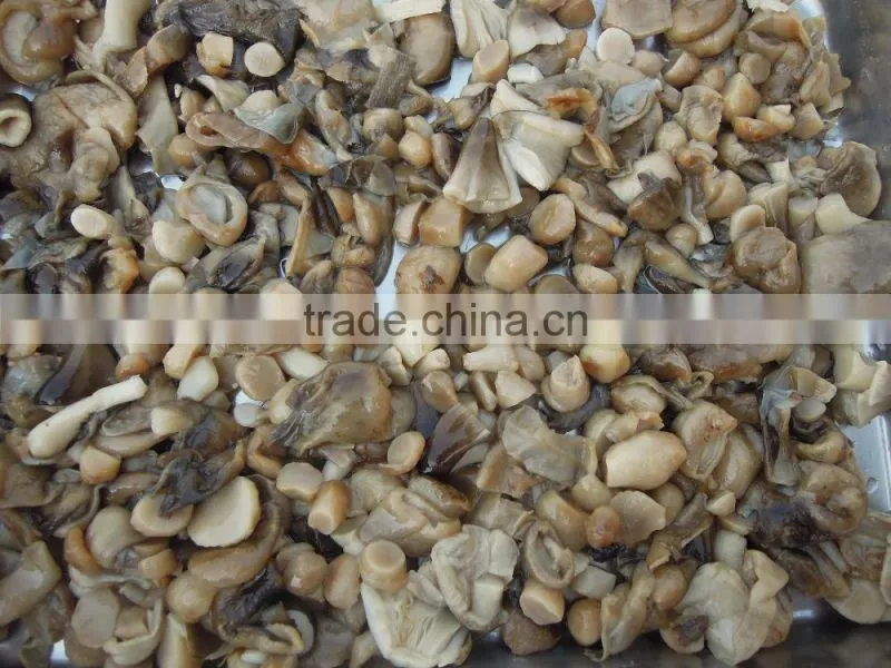 market prices for mushroom price canned mushroom