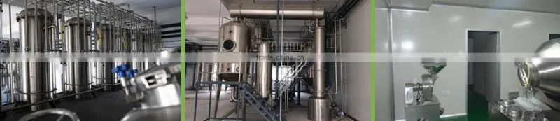 Ivy Extract/Hederagenin C /Hedera Helix Extract