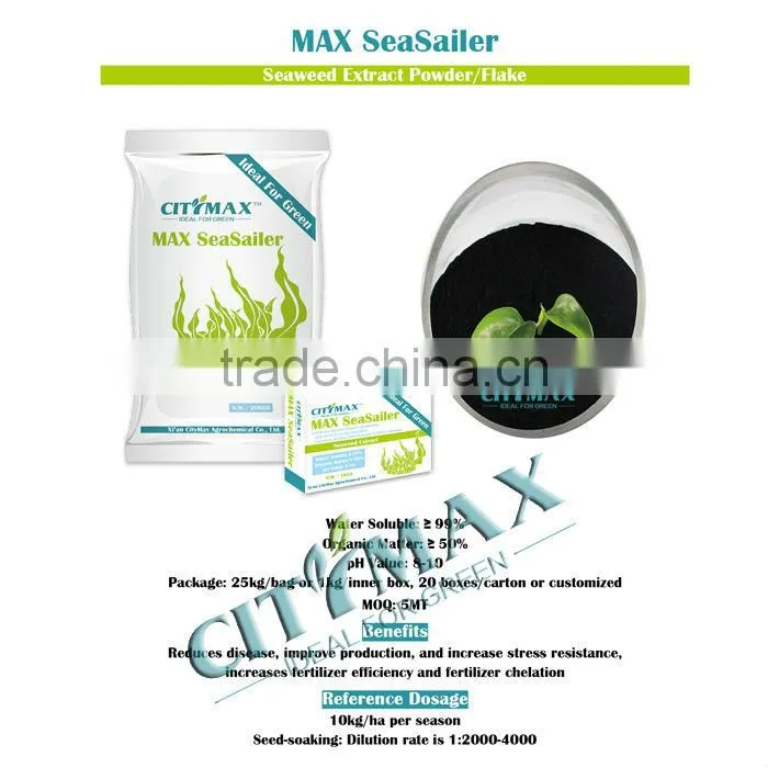 Fucoxanthin Seaweed Extract