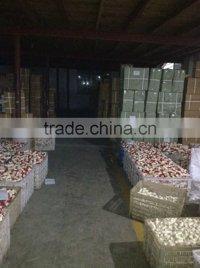 MZL POPULAR 1/2"-4" inch cpvc pipe fittings for water supply China factory