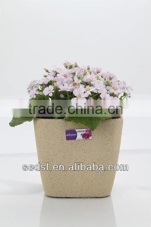 sand surface plastic flowerpot,bonsai pot,frosted garden planter