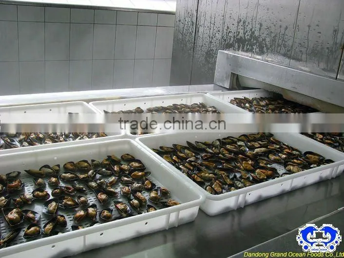 frozen half shell blue mussel meat