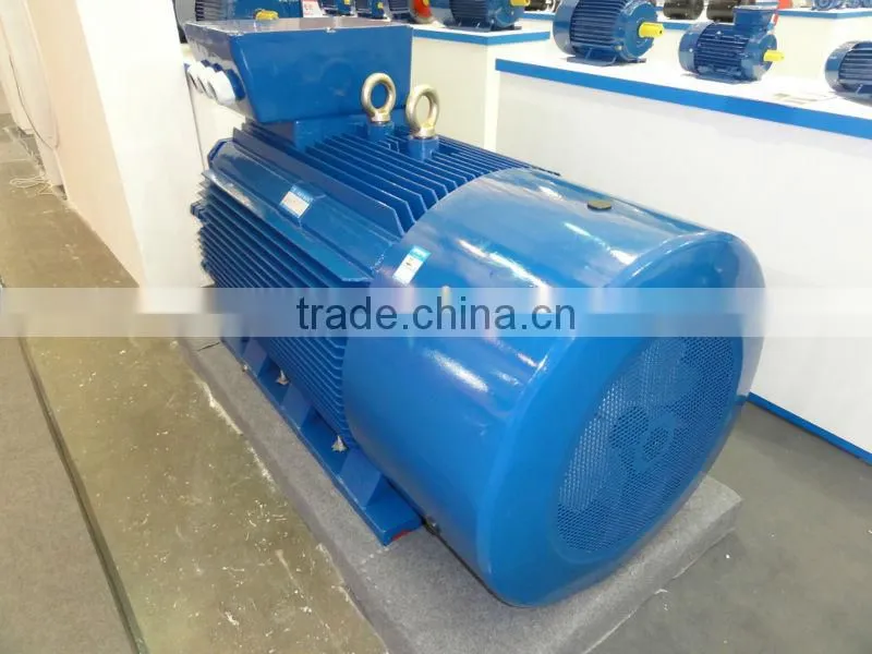 Cast Iron IE1 Three Phase Electric Motor