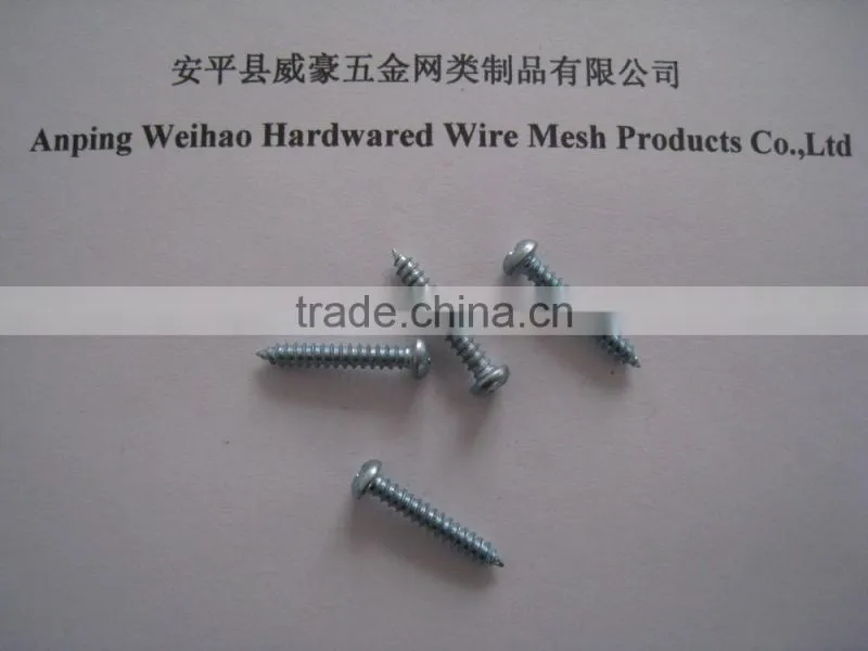 Phillips pan head self tapping screw with washers