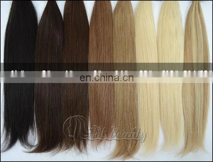 European/Indian/Brazilian Clip In Hair Extensions