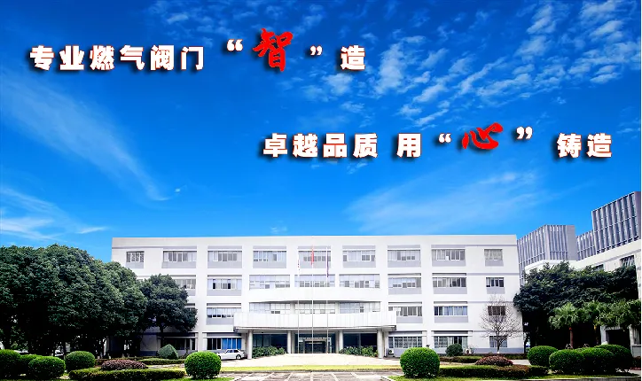 Chengdu Zhicheng Technology Co., Ltd company overview - view 1