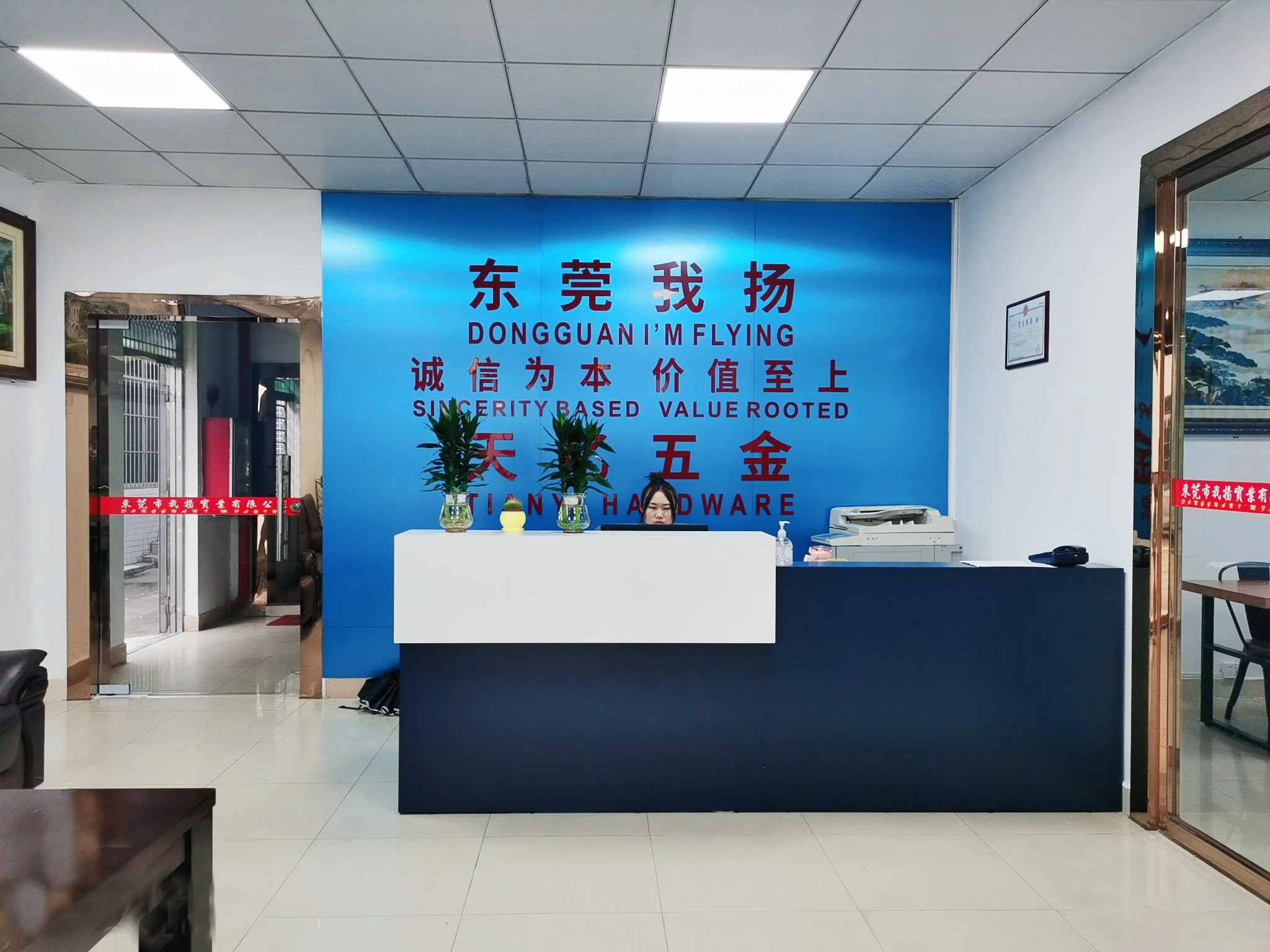 Dongguan I Am Flying Industry Co.,Ltd company overview - view 2