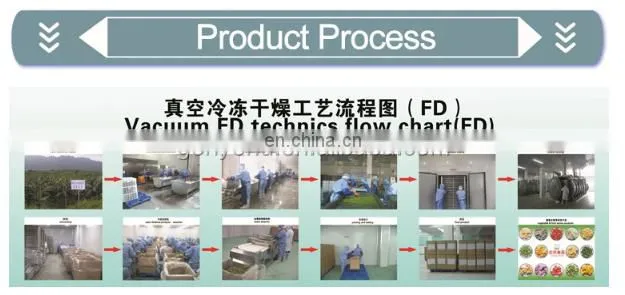 lyophilizer for food freeze vacuum drying processing