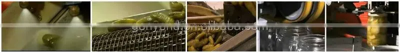 Automatic Canned pickles and pickled cucumber washing canning making machine