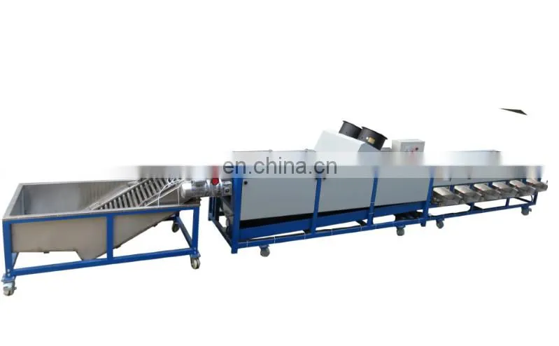 Full-automatic jujube and dates fruit juice/syrup processing line apple sorter vegetable sorting grading machine for / potato