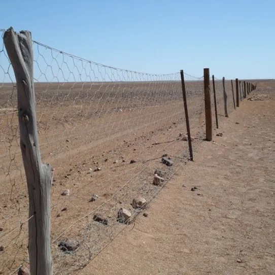 Building and Maintaining a Rabbit-Proof Fence.png