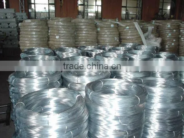 Electro Galvanized Iron Wire