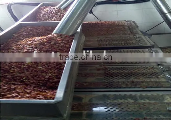 blanched peanut blanched peanuts