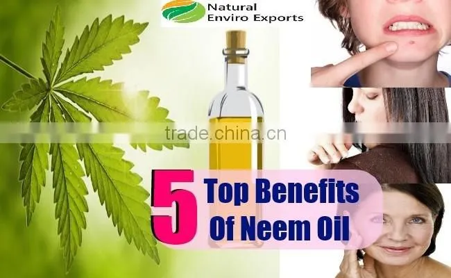 Best Price Organic Cold Pressed Neem Oil ; Cold Pressed Natural Neem Oil