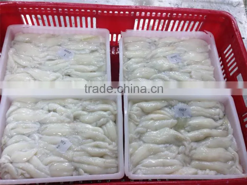 frozen illex roe squid argentina raw material