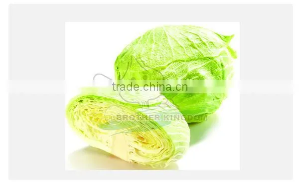 Fresh green cabbage/Cabbage from China/New crop cabbage