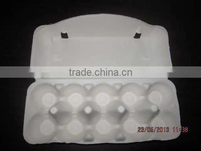 10 Eggs Sugarcane Fiber Moulded Pulp Chicken Egg Tray