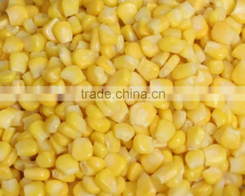 IQF frozen onion diced price with BRC KOSHER certificate