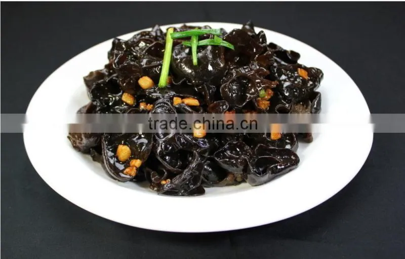 Perfect Black Fungus Mushrooms