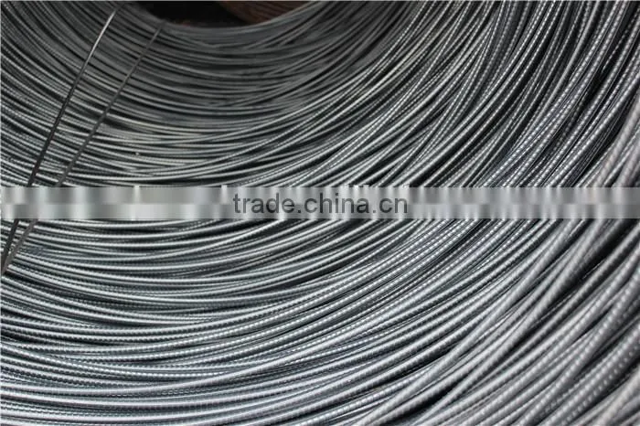 Hot Rolled Screw Thread Steel Bar / Deformed bar
