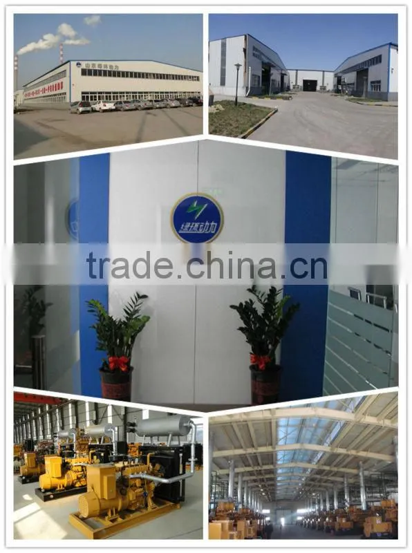 Low consumption CE ISO Stanford Alternator 40kw natural gas generator set