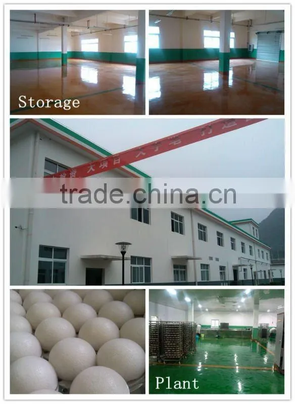 tech-innovation natural fiber sponge