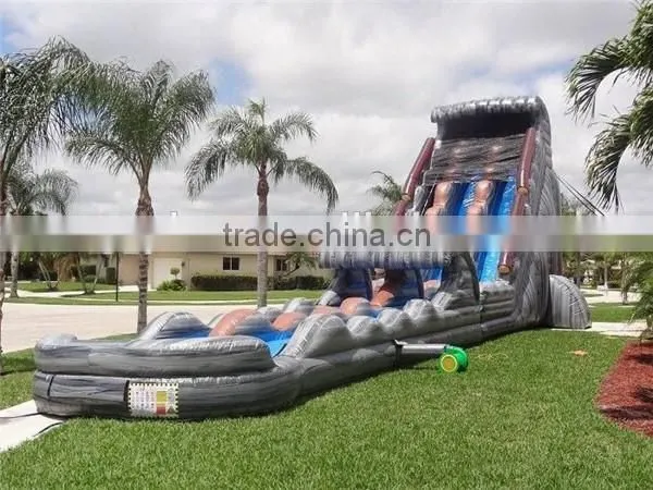 Amusement Park 30 FT 2 Lane Inflatable Water Slides Custom PVC Waterproof