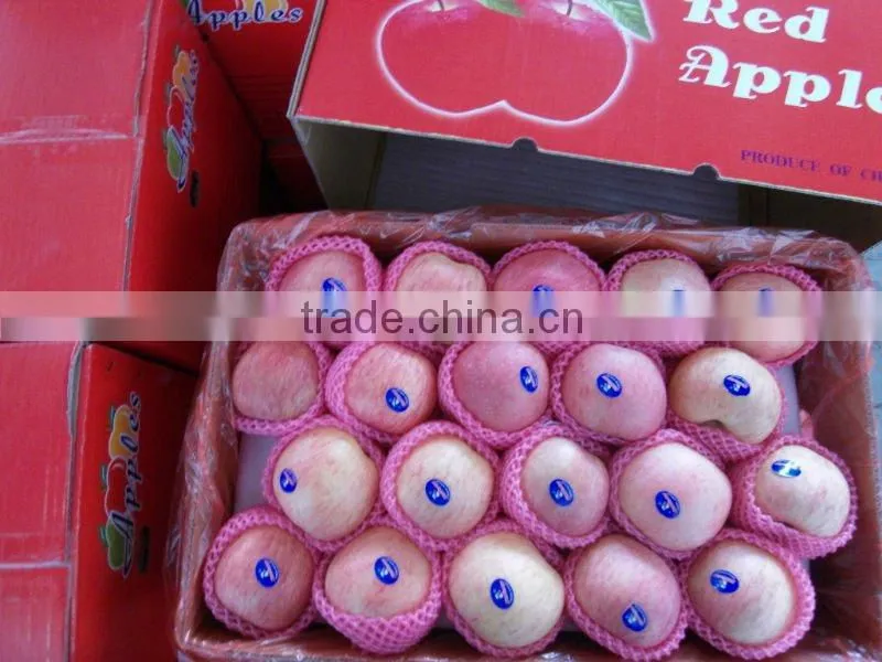 fresh apple