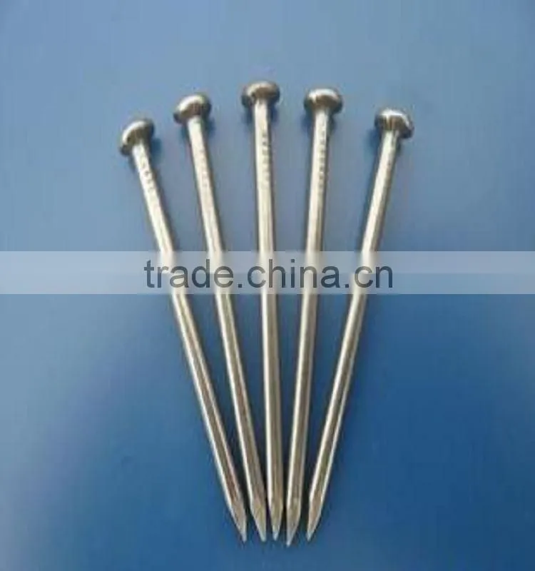 common nail/ common wire nail/common iron nails