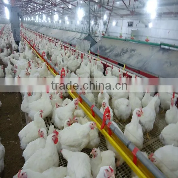 Breeder pan feeding system