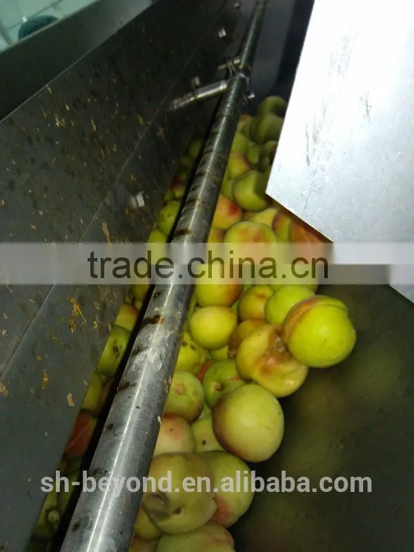 Complete Peach Fruit Processing Line