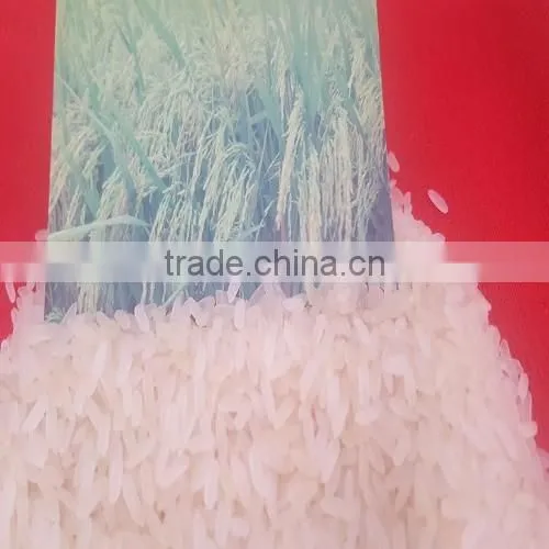 5% BROKEN PARBOILED RICE WITH NEW CROP
