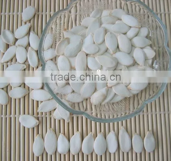 HACCP & ISO roasted and salted pumpkin seeds kernel