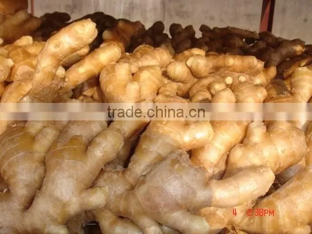 Fresh air dried ginger