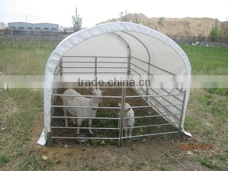 Horse stable with roof