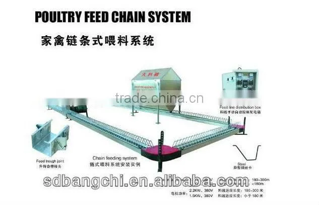 Best Poultry Breeder Chain Feeding System