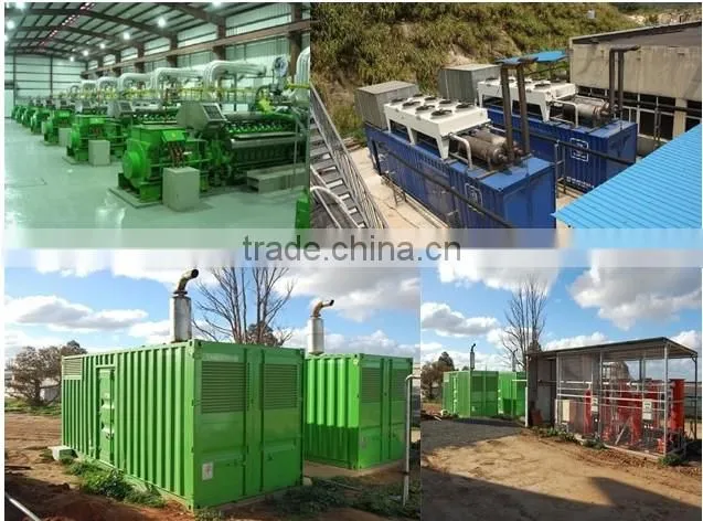 Camda 200KW biogas/natural gas generator